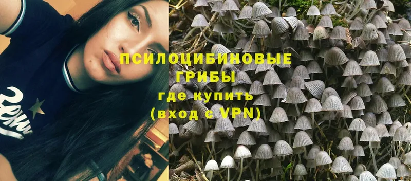 omg ТОР  Шелехов  Псилоцибиновые грибы Magic Shrooms 